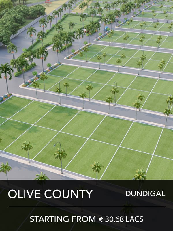 Olive County photo 1