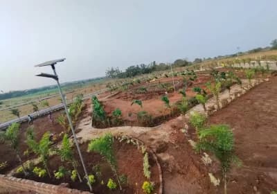 NIMZ Hillview Siddhapur photo 1