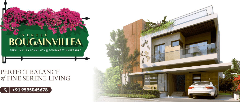 Vertex Bougainvillea photo 1