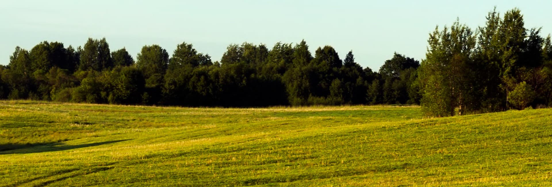 AuroLand photo 1