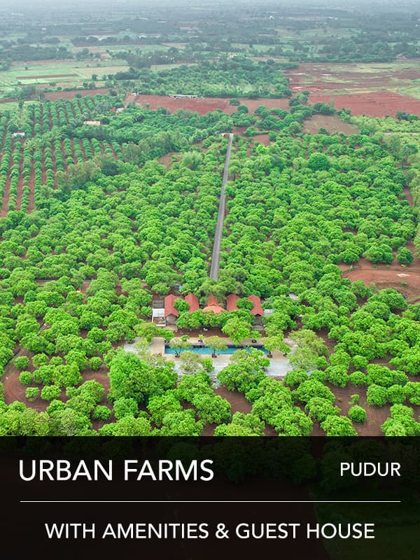 Mango Groves Pudur photo 1